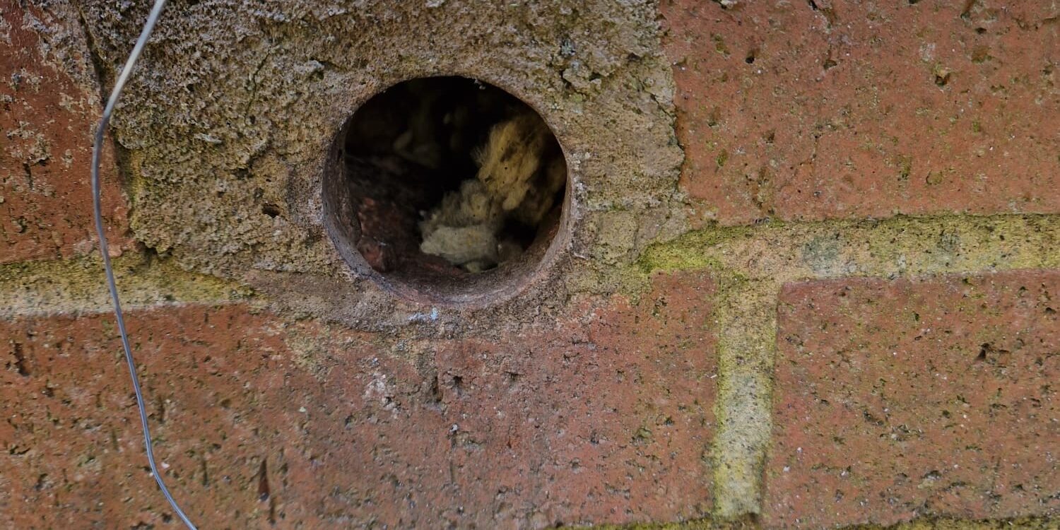 Rat hole in brick