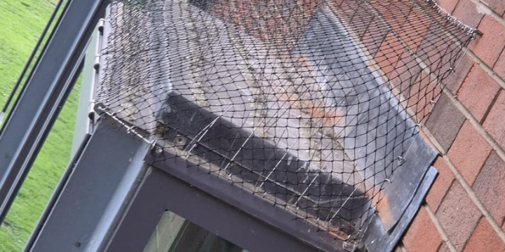 Untitled design – 2025-11-10T100050.713