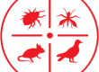 pest control services