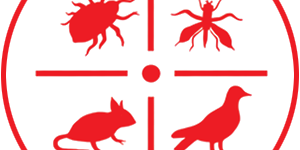 pest control services